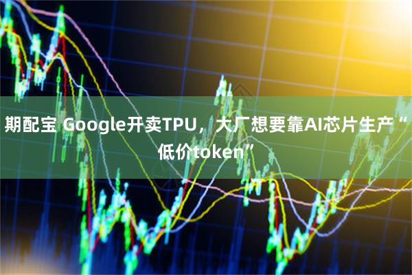 期配宝 Google开卖TPU，大厂想要靠AI芯片生产“低价token”