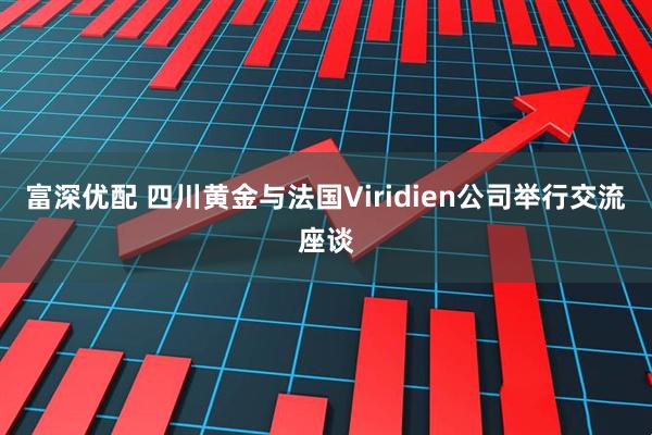 富深优配 四川黄金与法国Viridien公司举行交流座谈